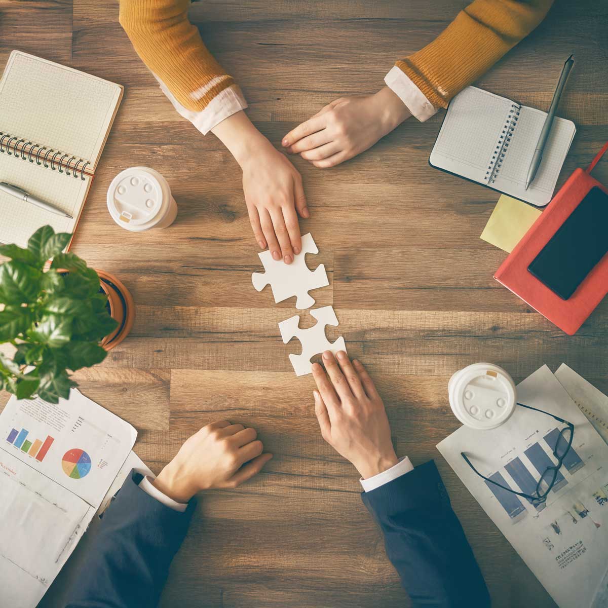 ProjectGlobe-Services-Management Consultant